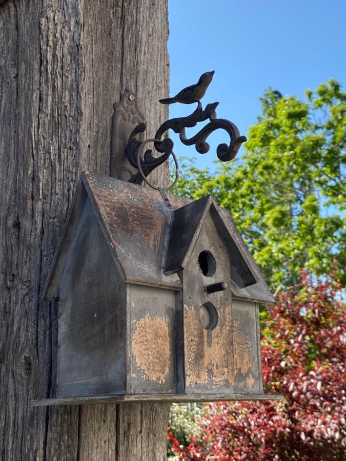 Gite Les Robins Vergigny Exterior foto